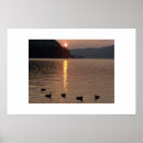 Suche nach rogers poster See