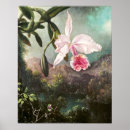 Suche nach vintage orchideen poster Pflanze