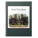 Suche nach ursus Tierwelt