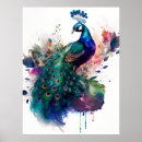 Recherche de conception de paon posters Plumes
