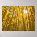 Suche nach charles river poster Herbst