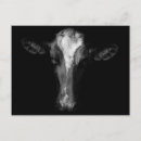 Recherche de le holstein cartes postales Vache