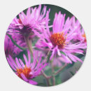 Recherche de pâturage autocollants Floral
