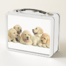 Suche nach labrador retriever lebensmittel aufbewahrung Tiere
