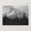 Recherche de black and white photography cartes postales Nature