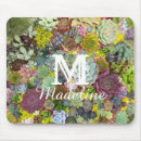 Recherche de succulent tapis souris Horticulture