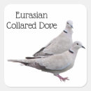 Suche nach ergattert Vogel