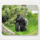 Suche nach primat elektronik zubehör Zoo