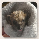 Suche nach igel untersetzer Süße tier