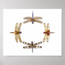 Recherche de insecte art Mouche