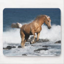 Suche nach palomino mousepads Reiter