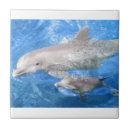 Suche nach delphine fliesen Ozean