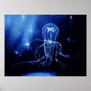 Suche nach tentakeln poster Quallen