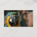 Suche nach macaw visitenkarten Tropisch