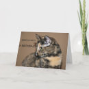 Recherche de kitty cat vœux cartes Chats