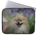 Suche nach körper laptop schutzhüllen Spitz