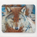Recherche de retour tapis souris Université