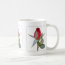 Recherche de bourgeon de rose rouge Botanique
