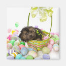 Suche nach korb magnete Sitzen