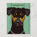 Recherche de pinscher miniature cartes postales Minpin