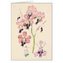 Suche nach rosa orchidee karten Vintag