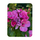 Recherche de lavande magnets Cuisine