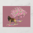 Recherche de belgie cartes postales Tervuren