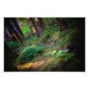 Suche nach moose poster Wandern