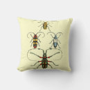 Recherche de scarabées coussins Nature