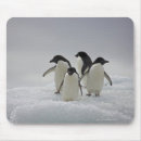 Suche nach wir eis mousepads Pinguine