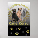 Recherche de corso posters Amoureux de les chiens
