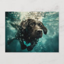 Recherche de chiot labrador cartes postales Pour chiens personnalisables