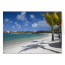 Recherche de ile maurice cartes postales Palmier