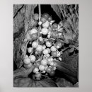 Suche nach beer poster Natur