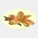 Suche nach lilly aufkleber Orange