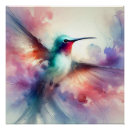 Recherche de colibri posters Nature