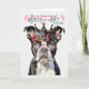 Recherche de boston terrier birthday Pour elle