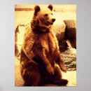 Recherche de ours gris art Animal