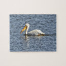 Recherche de pelican puzzles Oiseau