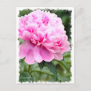 Recherche de chinese cartes postales Salutation