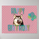 Suche nach siberian husky poster Geburtstag