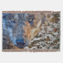 Suche nach der wolf decken Grauwolf