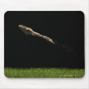 Recherche de grenouille verte tapis souris Plan studio