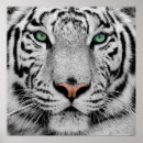 Recherche de tigre blanc art Maison