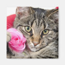 Recherche de de minou magnets Fleur