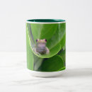 Recherche de petite grenouille tasses Vert