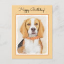 Suche nach beagle dog postkarten Welpe
