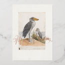 Recherche de bec vœux cartes Observation des oiseaux