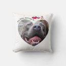 Suche nach pitbulls kissen Liebe