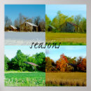 Recherche de quatre arbres posters Automne